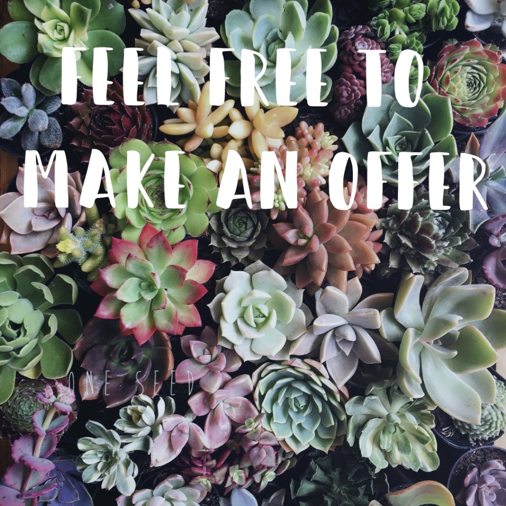 🌿OFFERS🌿